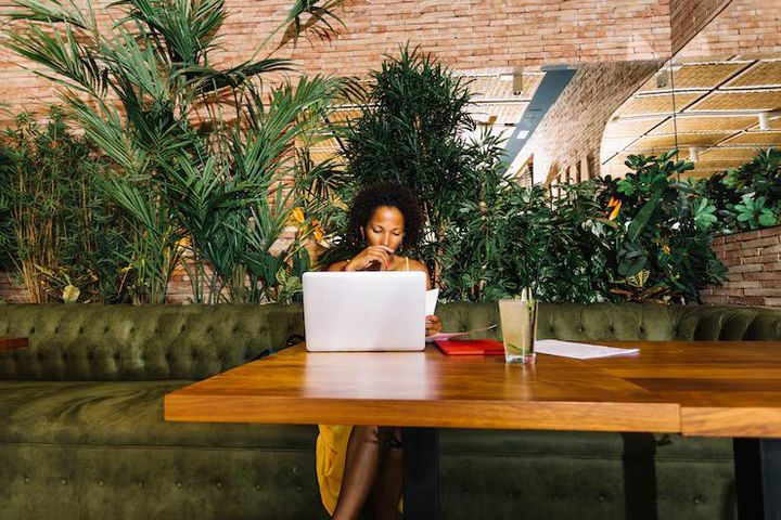 Beginner’s Guide to Biophilic Workspace Furniture: Introduction and Core Concepts