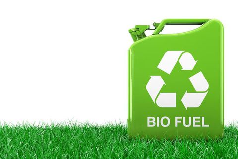 Biofuel Technology: Research, Analysis, and Industry Innovations Tips